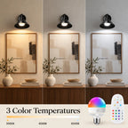 Cone arm industrial wireless wall sconce offering warm white, neutral white, and cool white colour temperatures via remote control.